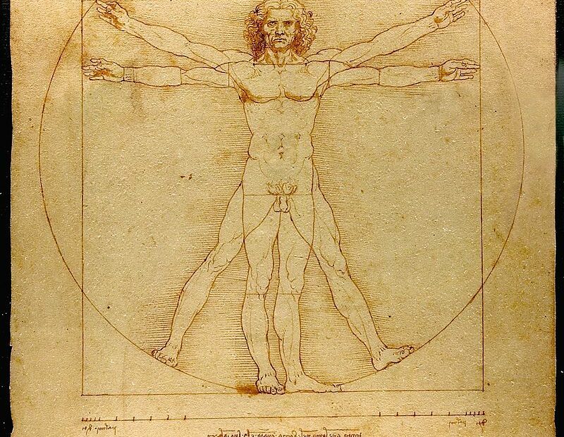 Da Vinci Vitruve